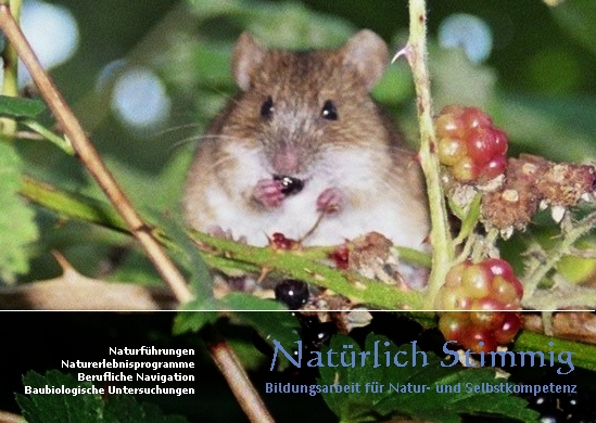 Titelbild